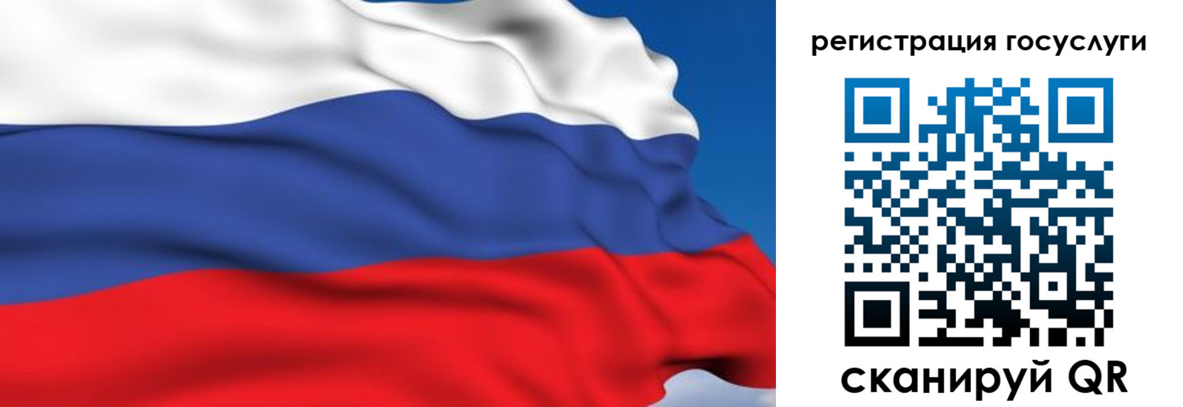 где прописаться в Камышине